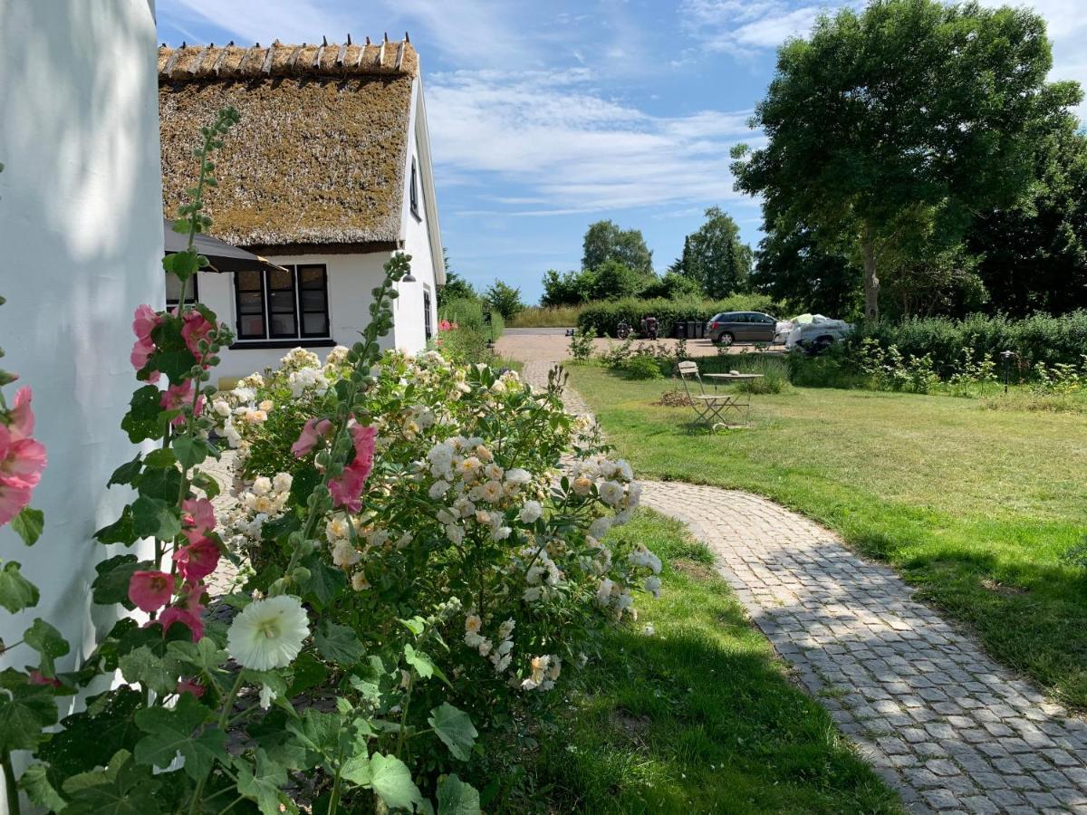 Mariegaardens Gaestehuse Hillerød Exterior foto